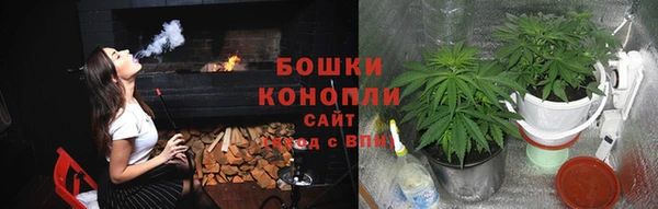 трава Алексин