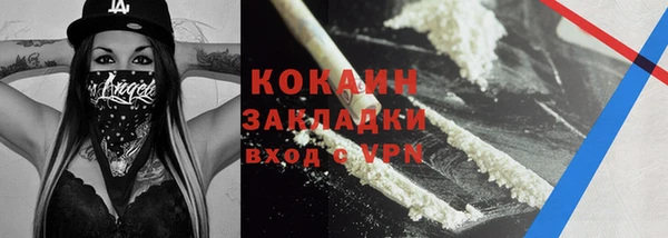 стаф Алзамай