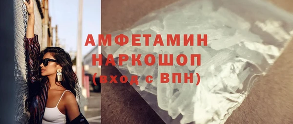 стаф Алзамай