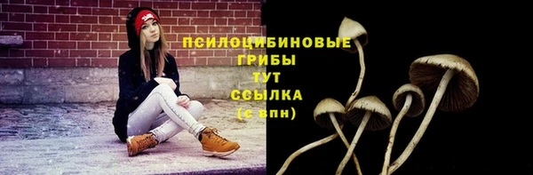 трава Алексин