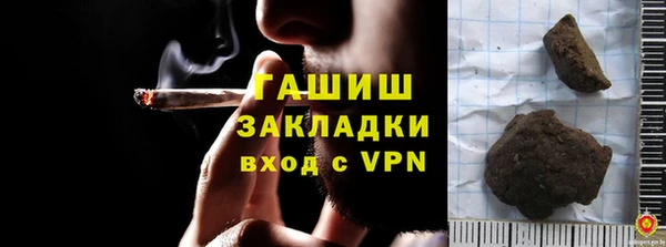 стаф Алзамай