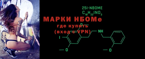 стаф Алзамай