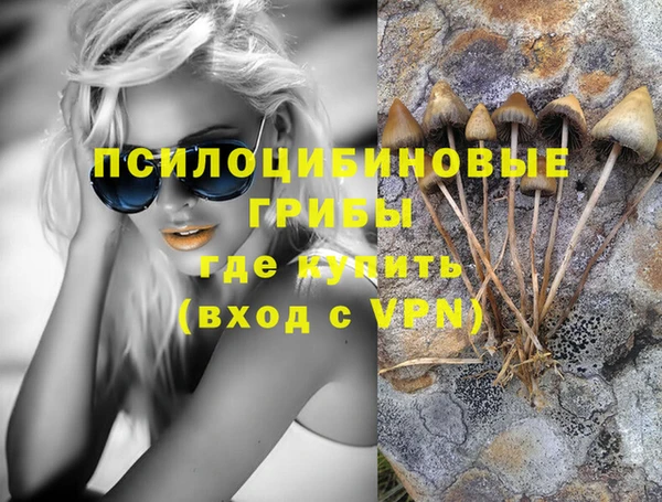 стаф Алзамай