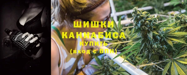 бошки Новодвинск