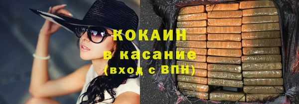 стаф Алзамай