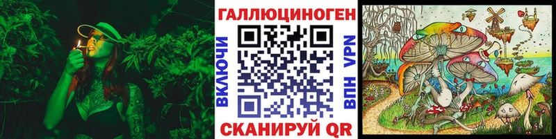 дарк нет как зайти  где купить   Махачкала  Галлюциногенные грибы ЛСД 