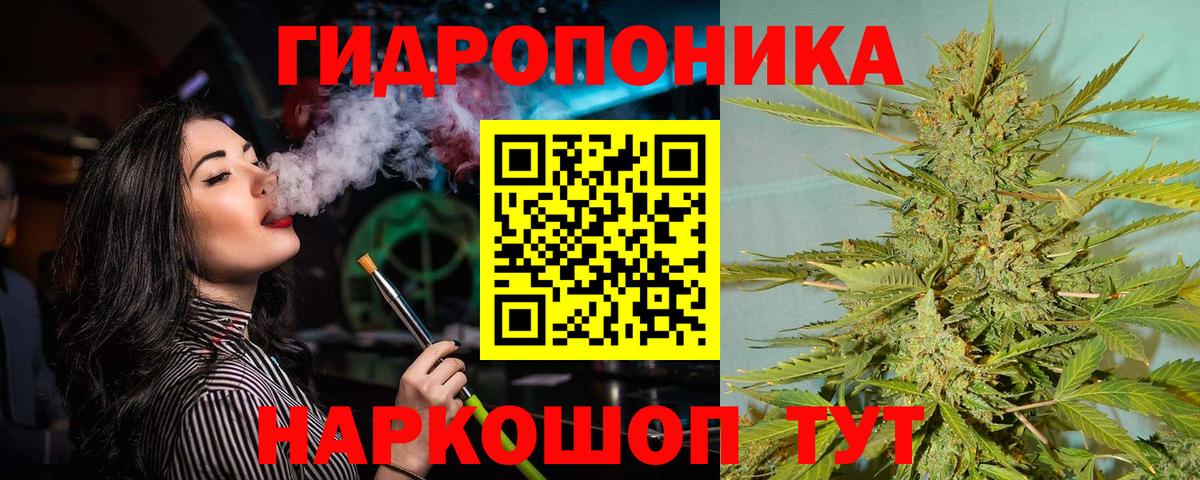 Бошки марихуана планчик  Бошки Шишки OG Kush  Махачкала  Каннабис семена  Вход с VPN  Бошки Шишки OG Kush 